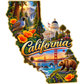 California State Pride T-Shirts