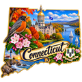 Connecticut State Pride T-Shirts