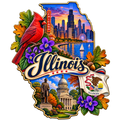 Illinois State Pride T-Shirts